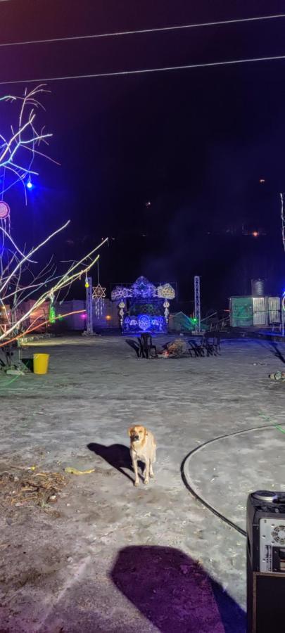 Stayhigh Camps & Cottages Kasol Extérieur photo